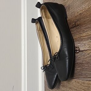 Everlane The Day Ballet Flats